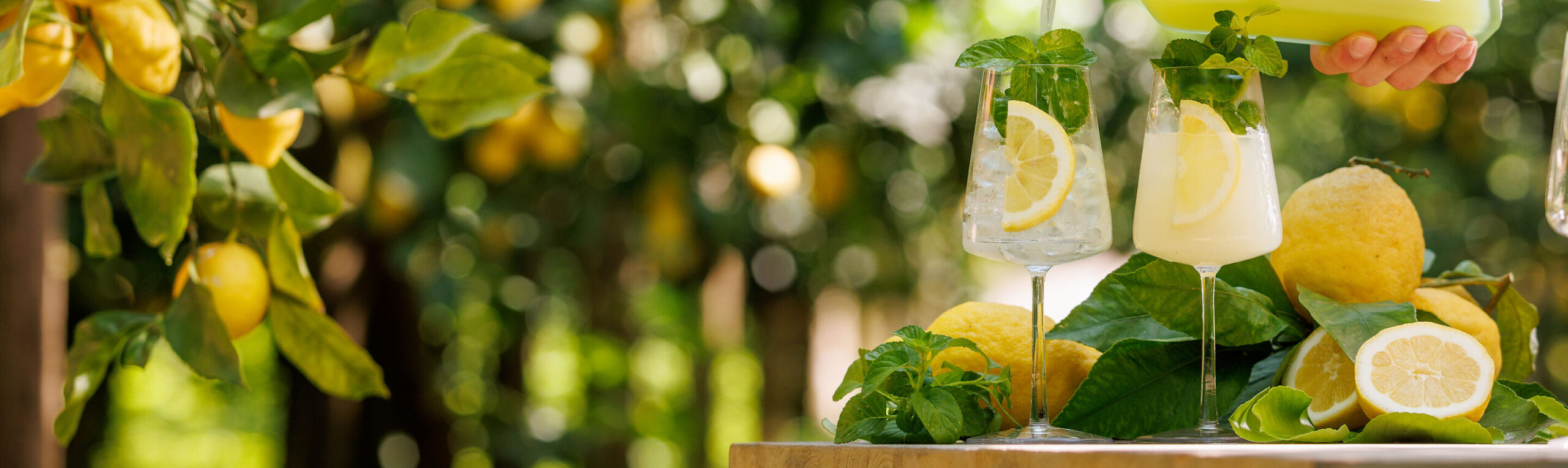 Limoncello Spritz - sommerens drink